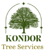 kondor-logo-final-small kondor-logo-final-small